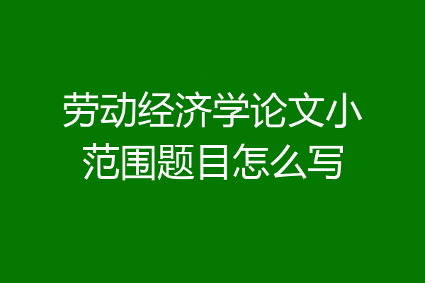 劳动经济学论文小范围题目怎么写