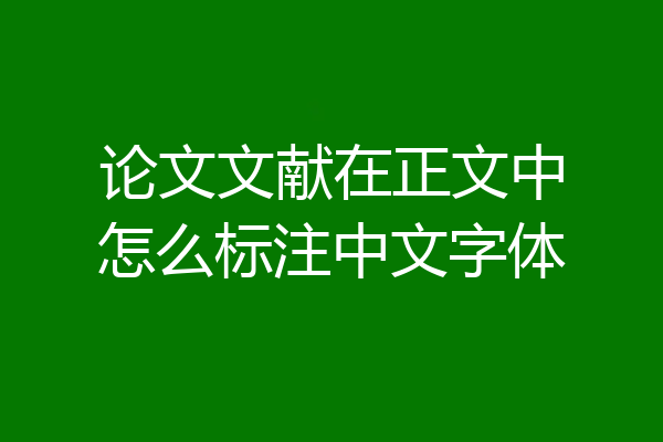 论文文献在正文中怎么标注中文字体