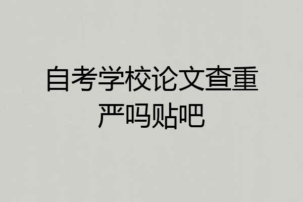 自考学校论文查重严吗贴吧