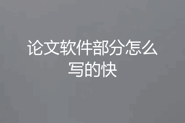 论文软件部分怎么写的快