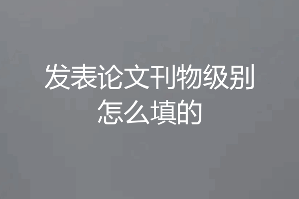 发表论文刊物级别怎么填的