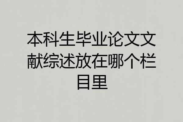 本科生毕业论文文献综述放在哪个栏目里