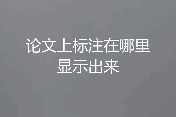 论文上标注在哪里显示出来