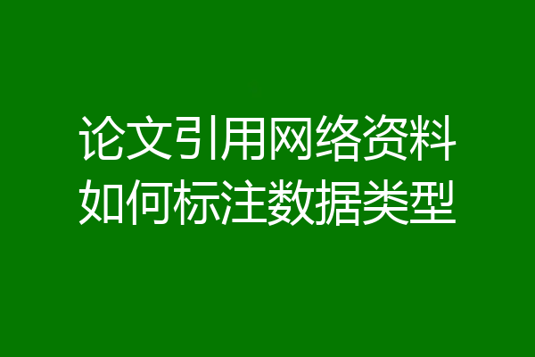 论文引用网络资料如何标注数据类型