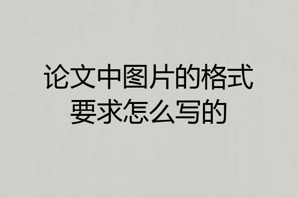 论文中图片的格式要求怎么写的