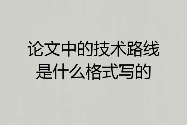 论文中的技术路线是什么格式写的