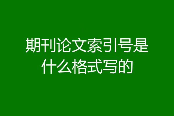 期刊论文索引号是什么格式写的