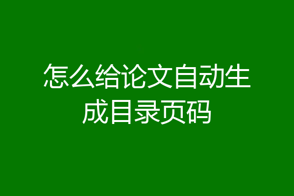 怎么给论文自动生成目录页码
