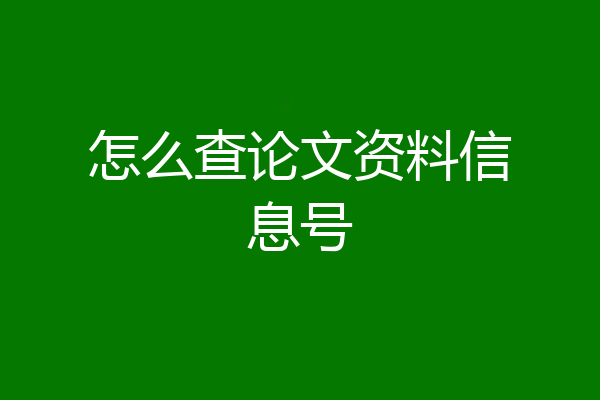 怎么查论文资料信息号
