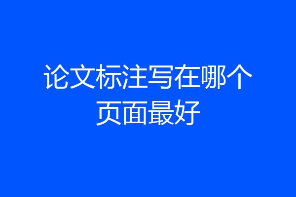 论文标注写在哪个页面最好