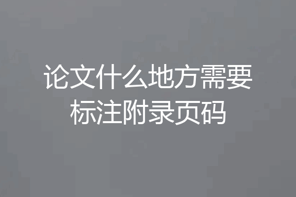 论文什么地方需要标注附录页码