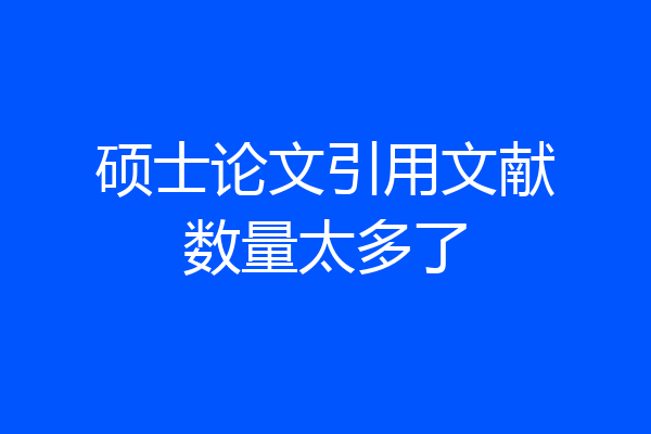 硕士论文引用文献数量太多了