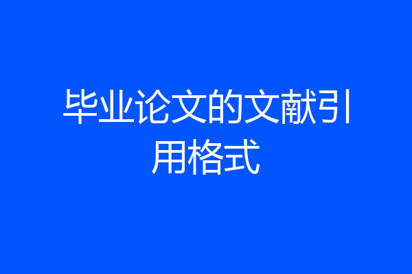 毕业论文的文献引用格式
