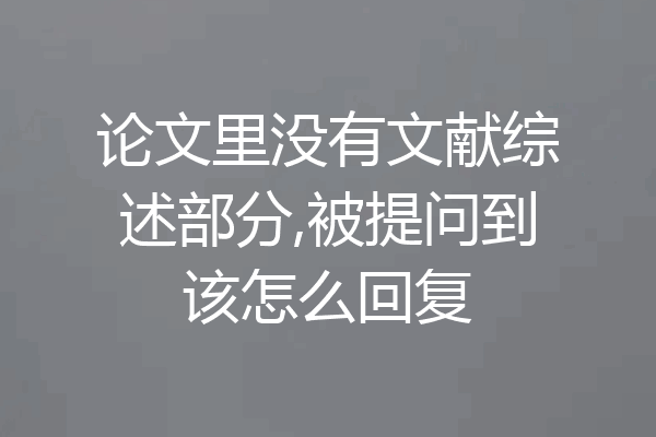 论文里没有文献综述部分,被提问到该怎么回复