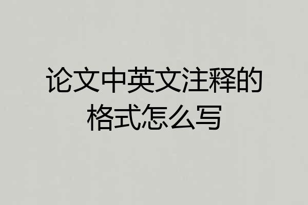 论文中英文注释的格式怎么写