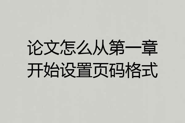 论文怎么从第一章开始设置页码格式