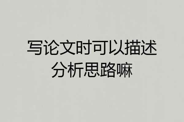 写论文时可以描述分析思路嘛