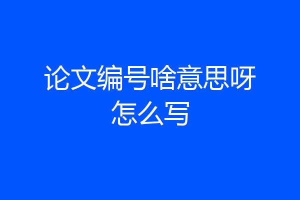 论文编号啥意思呀怎么写