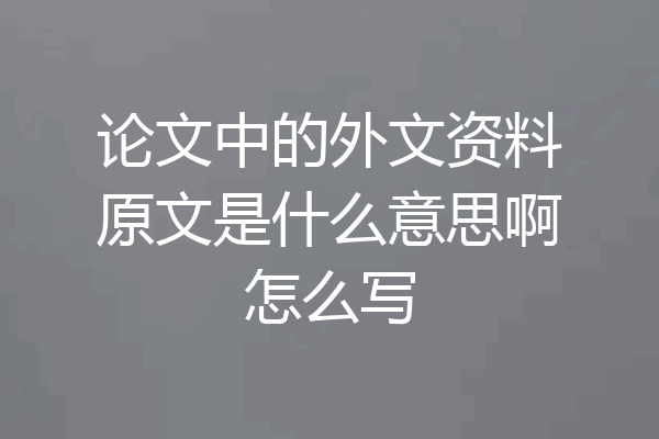 论文中的外文资料原文是什么意思啊怎么写
