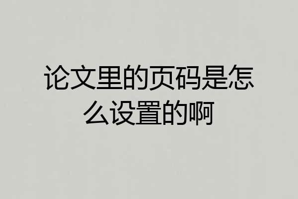 论文里的页码是怎么设置的啊