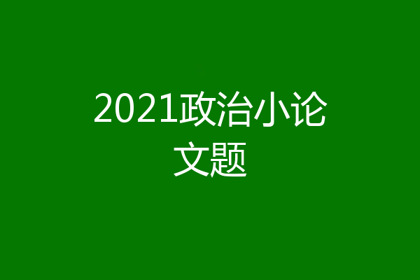2021政治小论文题
