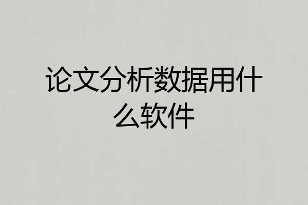 论文分析数据用什么软件