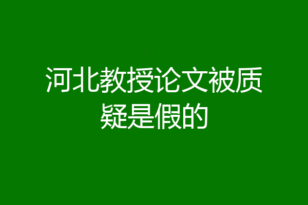 河北教授论文被质疑是假的