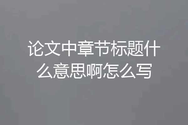 论文中章节标题什么意思啊怎么写