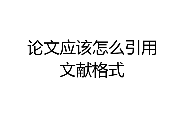 论文应该怎么引用文献格式