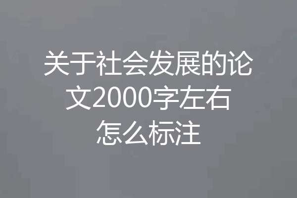 关于社会发展的论文2000字左右怎么标注