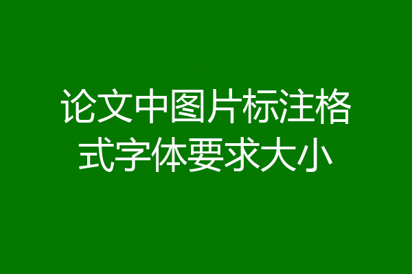 论文中图片标注格式字体要求大小
