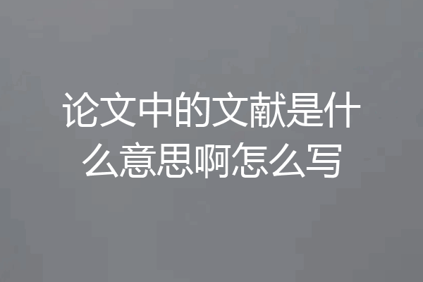 论文中的文献是什么意思啊怎么写