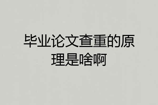 毕业论文查重的原理是啥啊