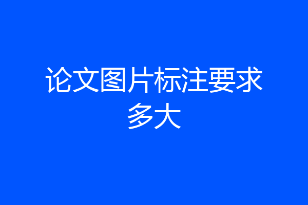 论文图片标注要求多大