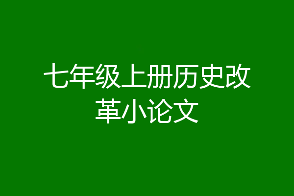 七年级上册历史改革小论文