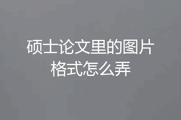 硕士论文里的图片格式怎么弄