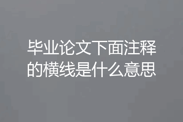 毕业论文下面注释的横线是什么意思