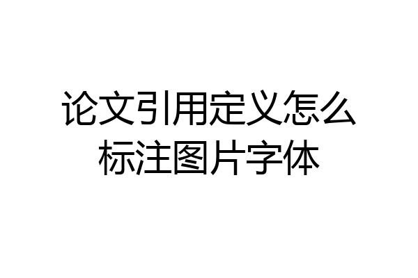 论文引用定义怎么标注图片字体