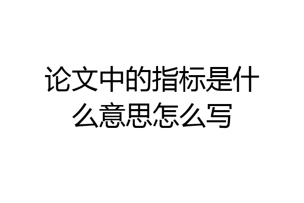 论文中的指标是什么意思怎么写