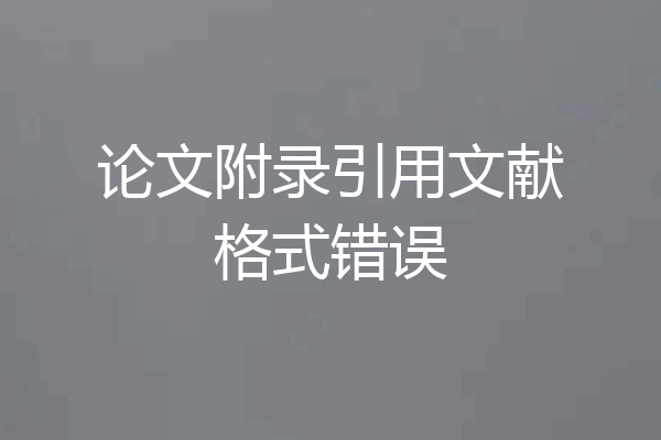 论文附录引用文献格式错误
