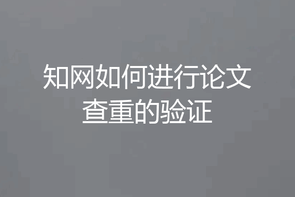 知网如何进行论文查重的验证
