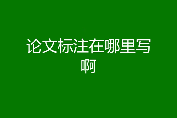 论文标注在哪里写啊