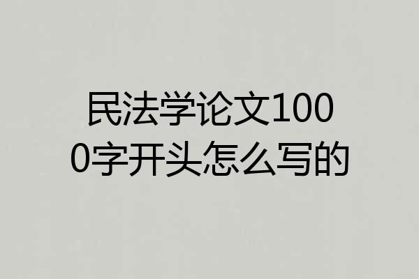 民法学论文1000字开头怎么写的