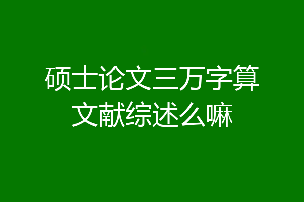 硕士论文三万字算文献综述么嘛