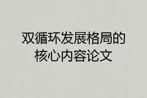 双循环发展格局的核心内容论文