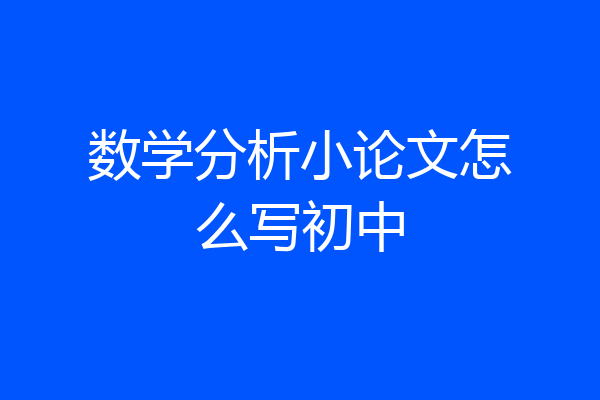 数学分析小论文怎么写初中