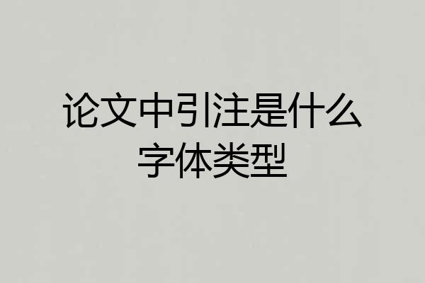 论文中引注是什么字体类型
