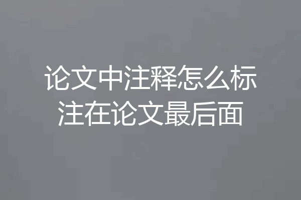 论文中注释怎么标注在论文最后面