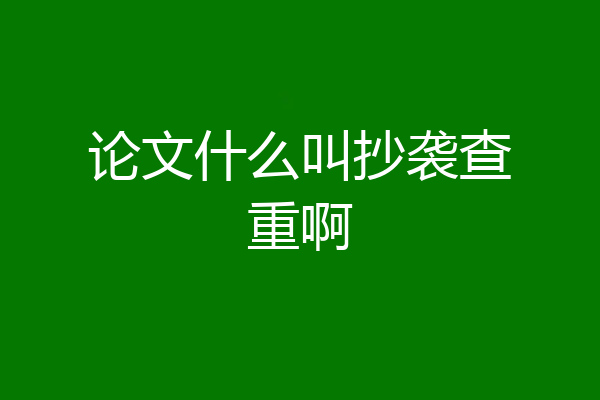 论文什么叫抄袭查重啊
