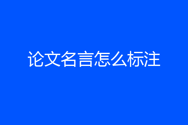 论文名言怎么标注
